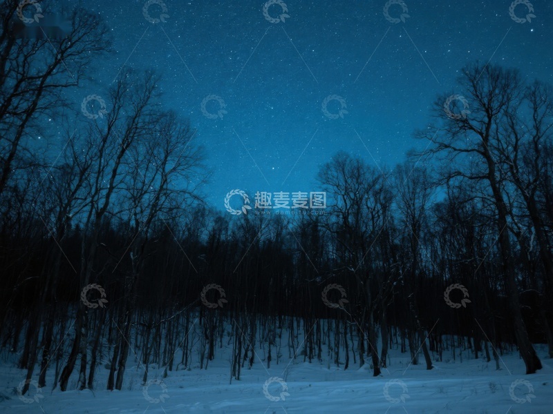 高清大图下载【趣麦麦图】冬夜星空下的寂静森林