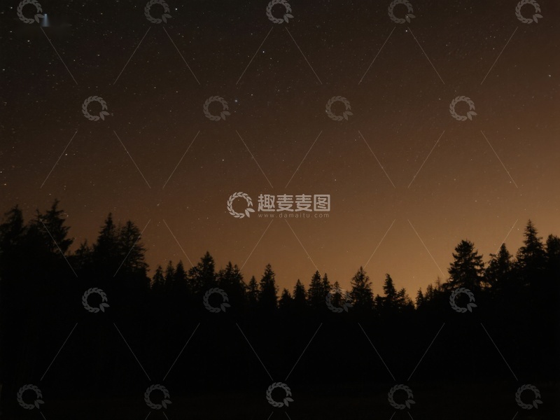 高清大图下载【趣麦麦图】夜空下的森林剪影