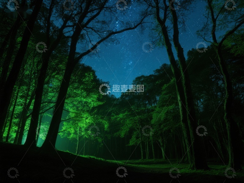 高清大图下载【趣麦麦图】夜幕森林，星光与绿光交织