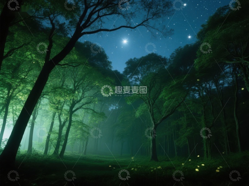 高清大图下载【趣麦麦图】夜幕森林，星光点点