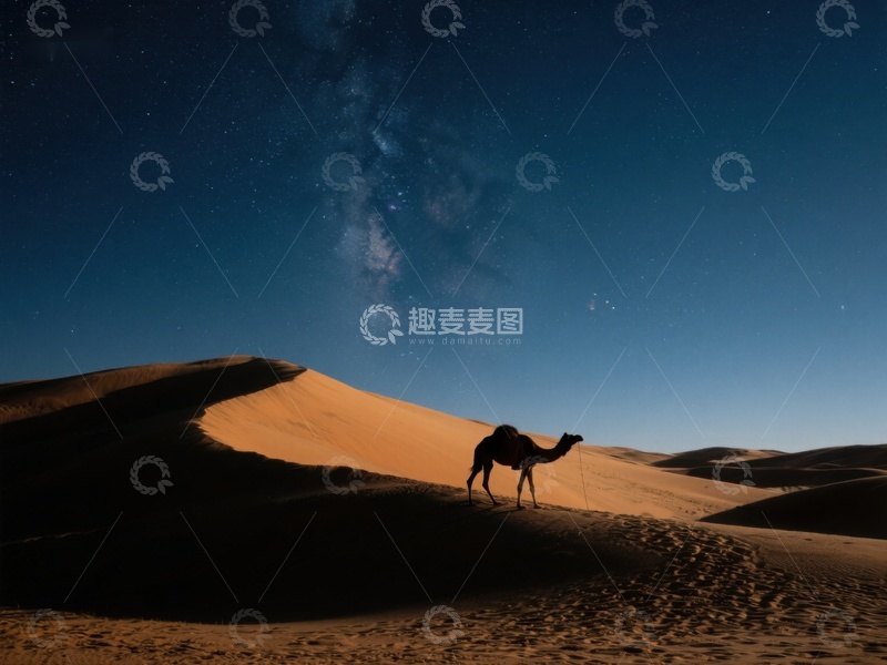高清大图下载【趣麦麦图】夜空下的沙漠骆驼剪影