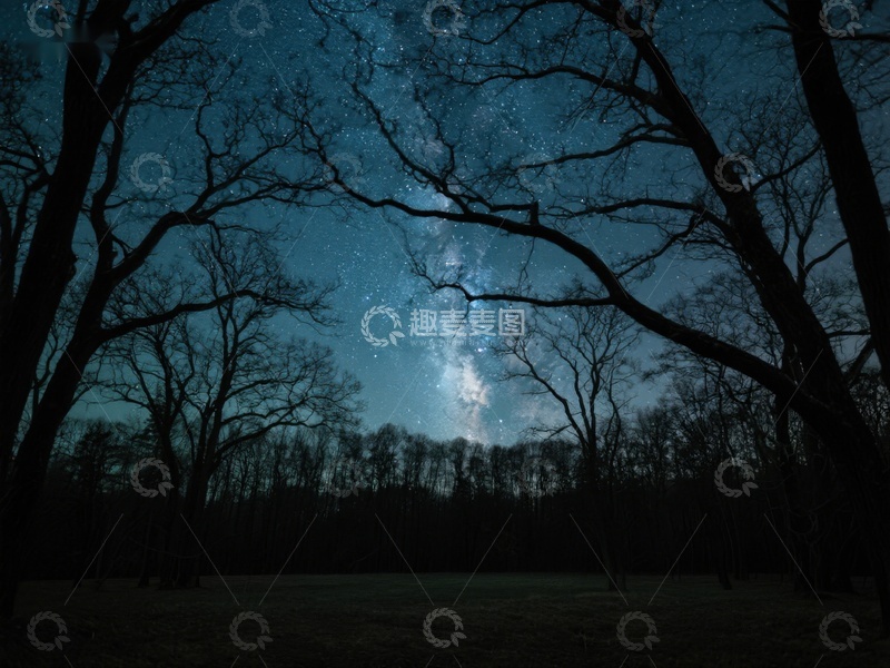 高清大图下载【趣麦麦图】夜空下的森林剪影