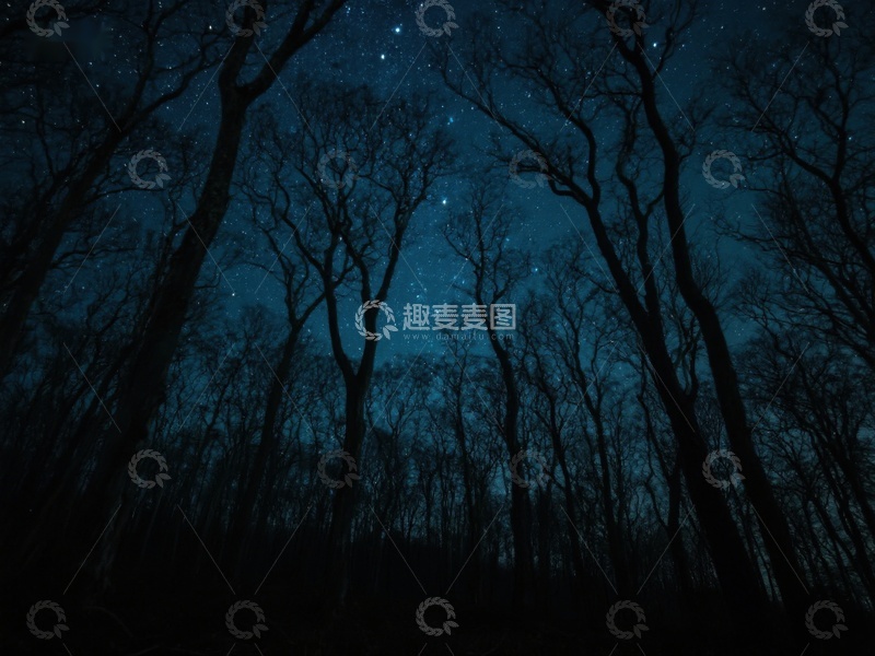 高清大图下载【趣麦麦图】夜空下的森林剪影