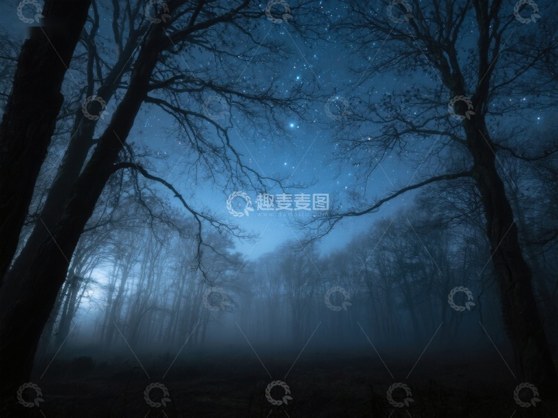 高清大图下载【趣麦麦图】夜幕下的幽静森林