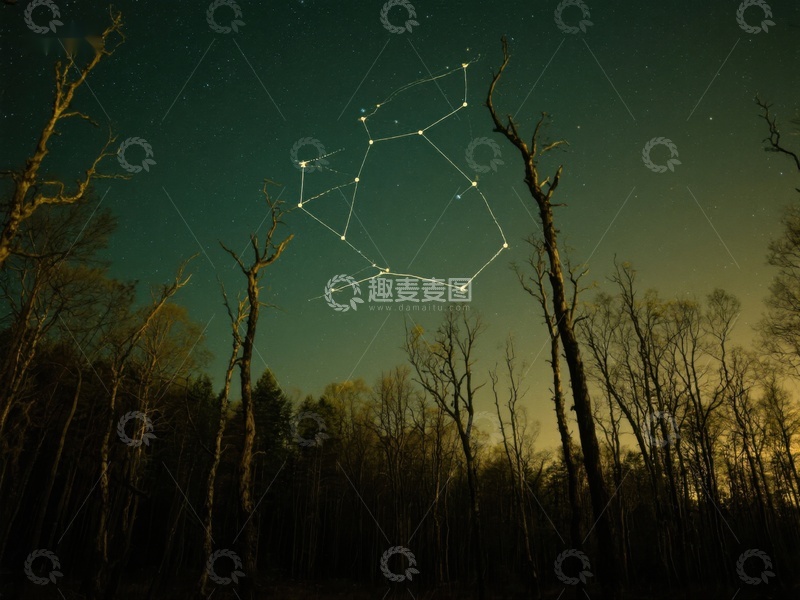 高清大图下载【趣麦麦图】夜空下的森林与星座