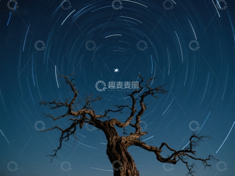 高清大图下载【趣麦麦图】孤树与星空轨迹的静谧夜景