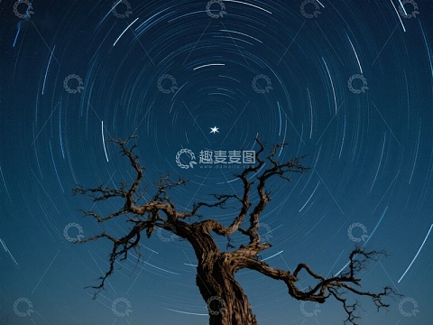 孤树与星空轨迹的静谧夜景