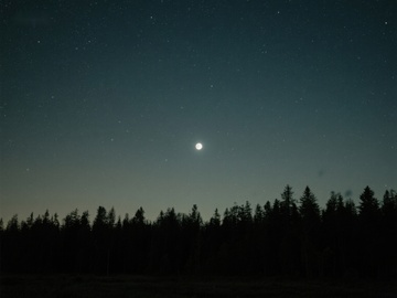 夜空下的森林与明月
