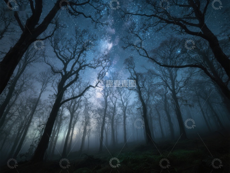 高清大图下载【趣麦麦图】夜幕森林，星光点点