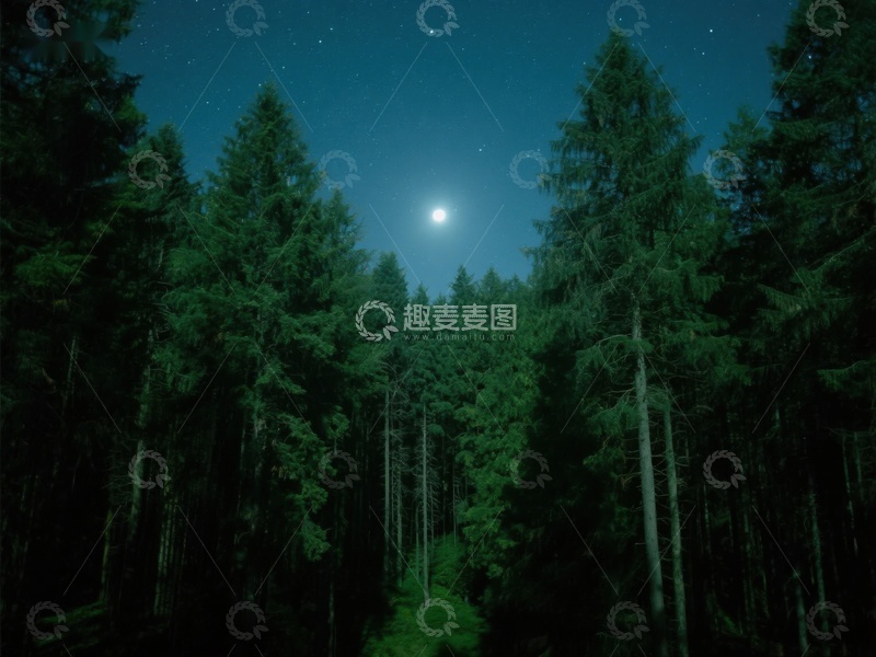 高清大图下载【趣麦麦图】月光下的森林夜景