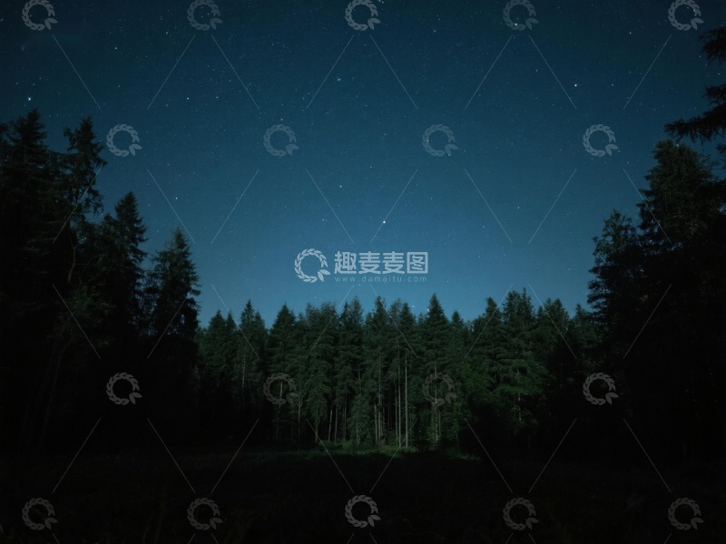 高清大图下载【趣麦麦图】夜空下的森林剪影
