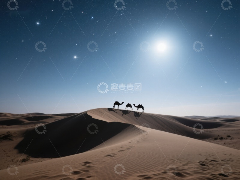 高清大图下载【趣麦麦图】月夜沙漠驼影