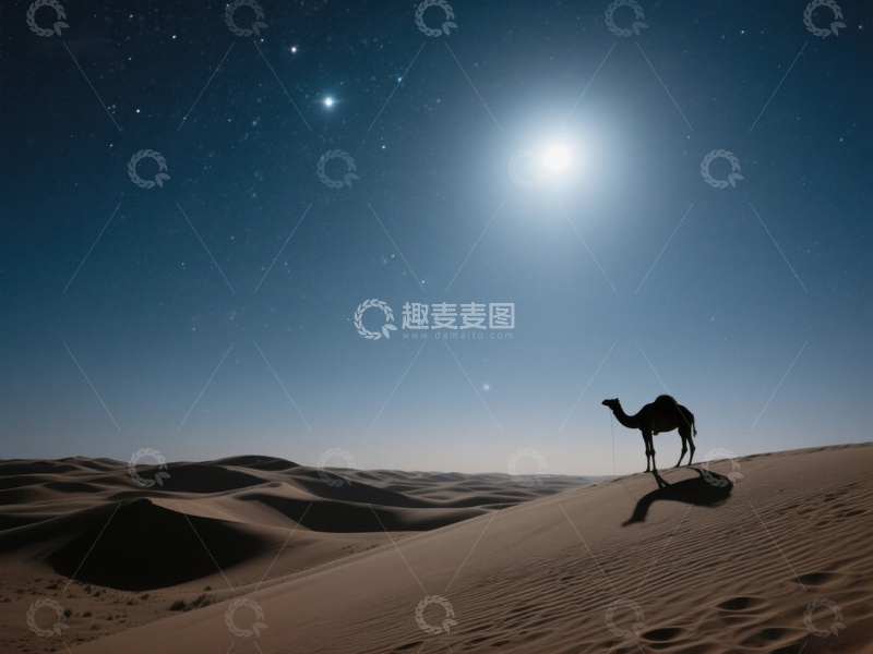 高清大图下载【趣麦麦图】沙漠夜景中的骆驼剪影