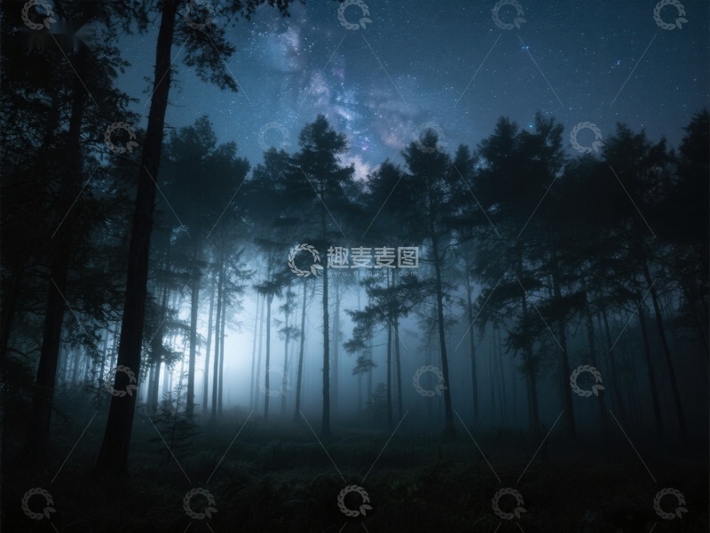 高清大图下载【趣麦麦图】夜幕森林，银河闪烁