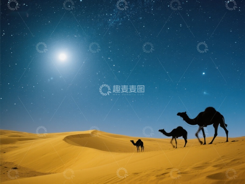高清大图下载【趣麦麦图】沙漠夜景中的骆驼剪影