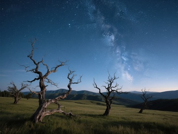 夜空下的枯树与银河