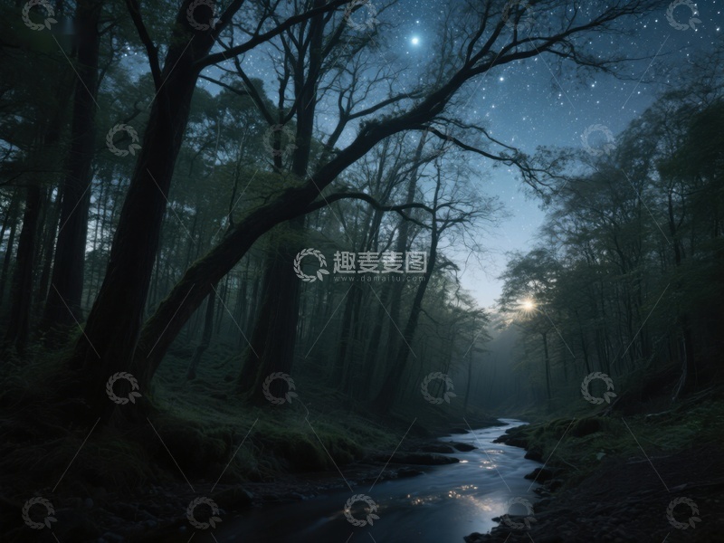 高清大图下载【趣麦麦图】月夜森林溪流