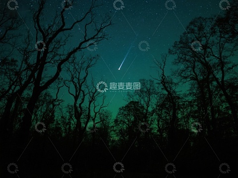 夜空流星划过树林剪影