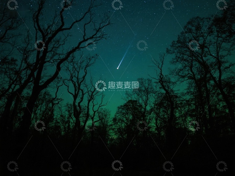 夜空流星划过树林剪影