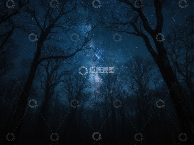 高清大图下载【趣麦麦图】夜空下的森林剪影