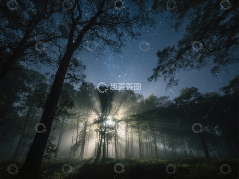 高清大图下载【趣麦麦图】夜幕森林，星光与雾气交织