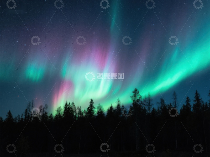 高清大图下载【趣麦麦图】极光下的森林夜景