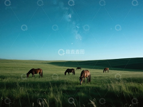 草原上的马群在夕阳下悠闲地吃草