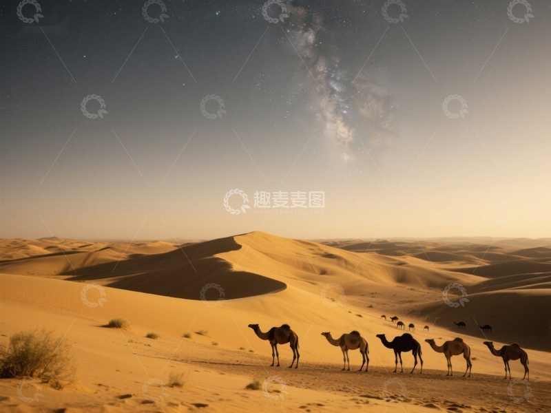 高清大图下载【趣麦麦图】沙漠夜景下的骆驼队