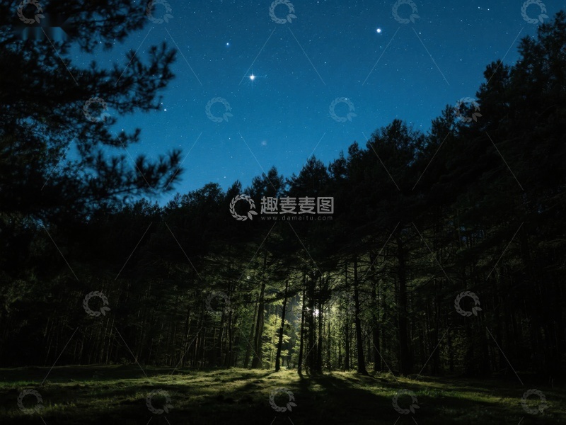 高清大图下载【趣麦麦图】夜空下的森林，星光与灯光交织
