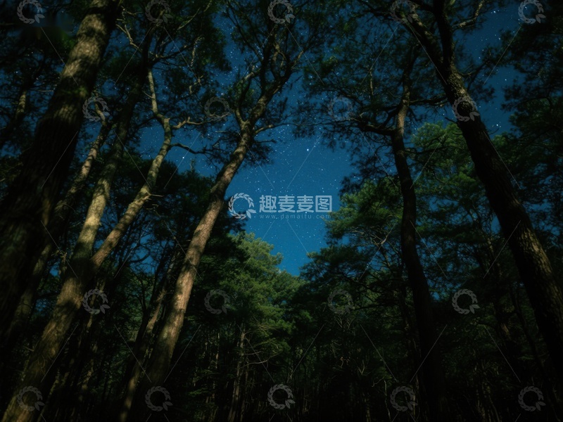 高清大图下载【趣麦麦图】夜空下的森林
