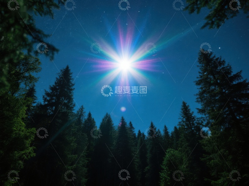 高清大图下载【趣麦麦图】夜空中的明亮星光穿透森林