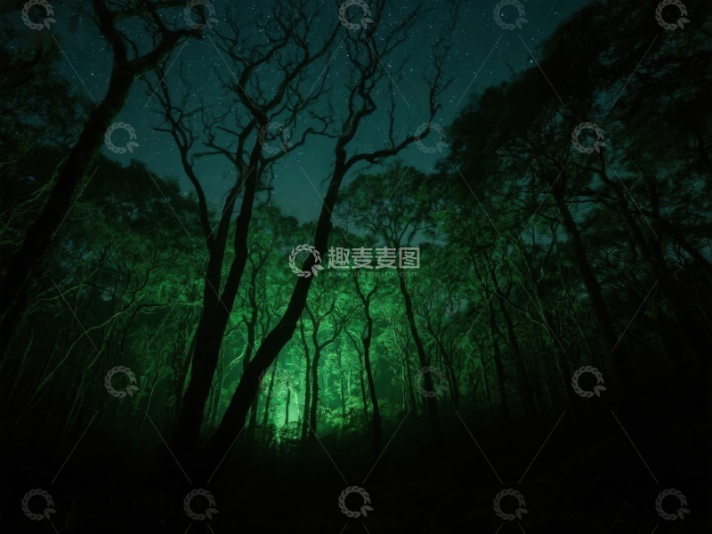 高清大图下载【趣麦麦图】夜幕森林，神秘绿光