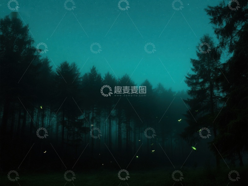 高清大图下载【趣麦麦图】夜幕森林中的萤火虫