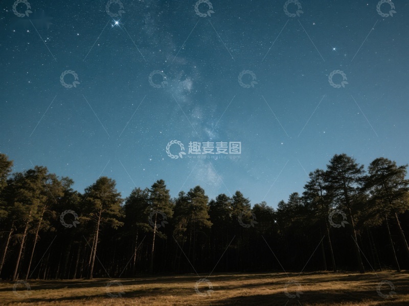 高清大图下载【趣麦麦图】夜空下的森林剪影