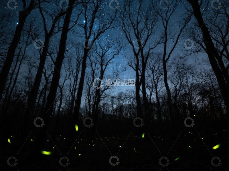 高清大图下载【趣麦麦图】-夜林萤火虫闪烁