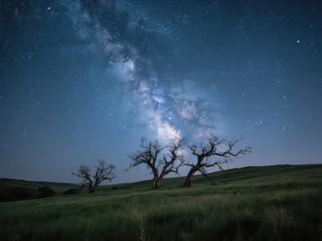 银河下的枯树与草地