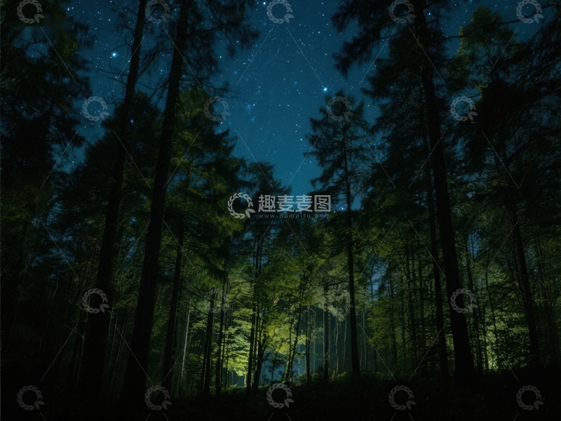 高清大图下载【趣麦麦图】夜幕森林，星光点点