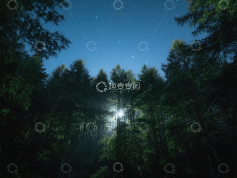 高清大图下载【趣麦麦图】夜幕森林，星光点点