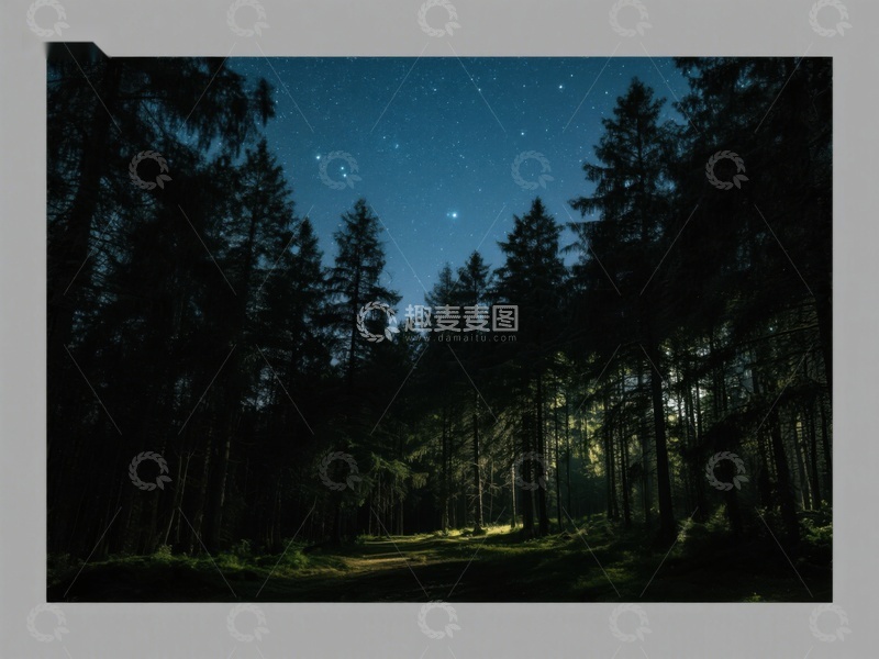 高清大图下载【趣麦麦图】夜幕森林，星光点点