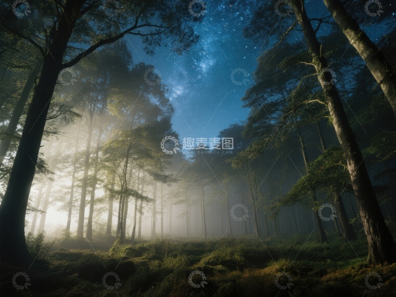 高清大图下载【趣麦麦图】夜幕森林，星光与雾气交织