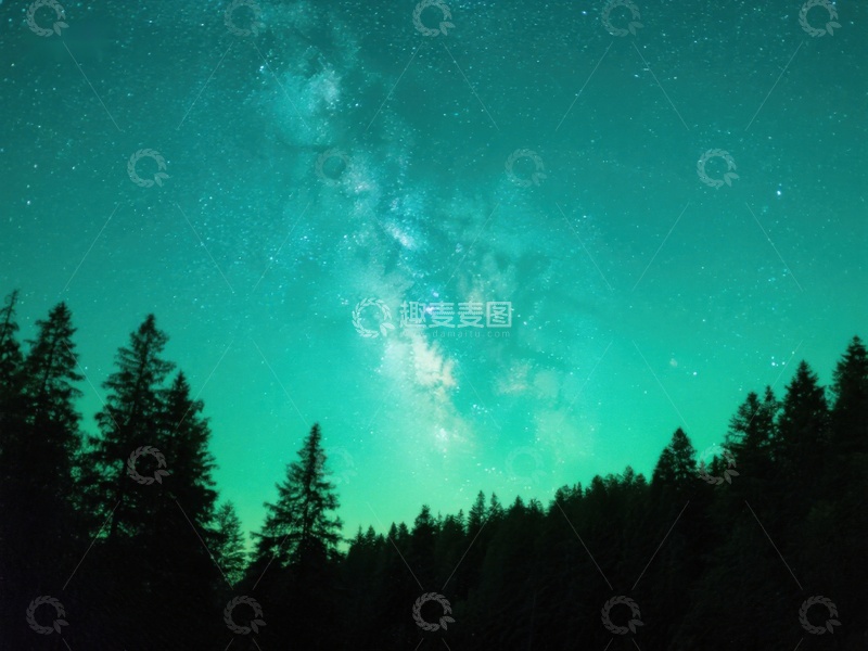 高清大图下载【趣麦麦图】夜空下的森林剪影
