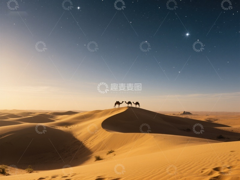 高清大图下载【趣麦麦图】星空下的沙漠驼队