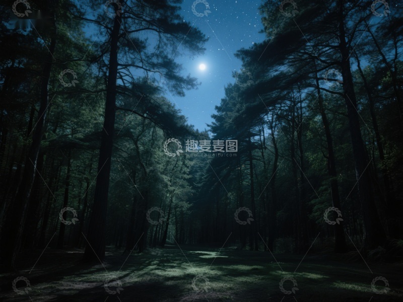 高清大图下载【趣麦麦图】-月光下的森林小径