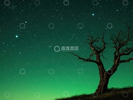 夜空下的孤树