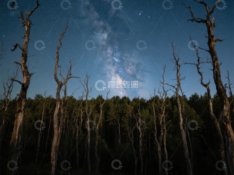 高清大图下载【趣麦麦图】夜空下的枯树与银河