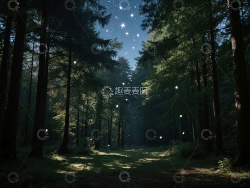 高清大图下载【趣麦麦图】星光点缀的森林小径