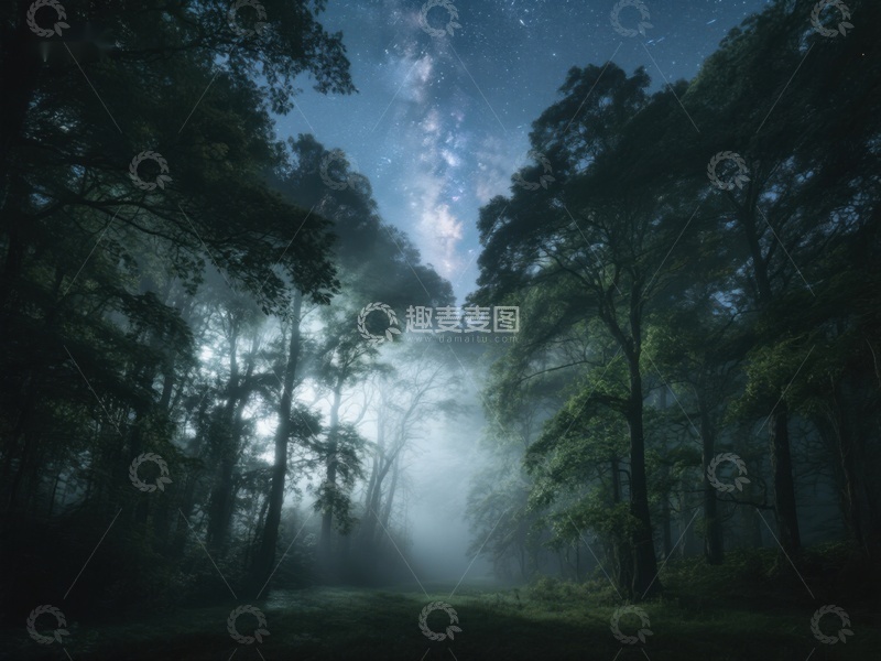 高清大图下载【趣麦麦图】夜幕森林，星光与雾气交织
