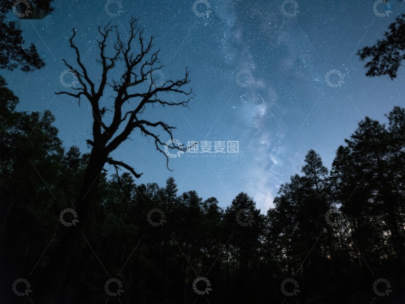 高清大图下载【趣麦麦图】夜空下的枯树与银河