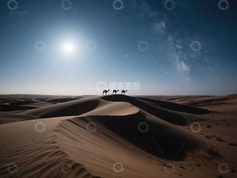高清大图下载【趣麦麦图】沙漠夜景：骆驼剪影与星空