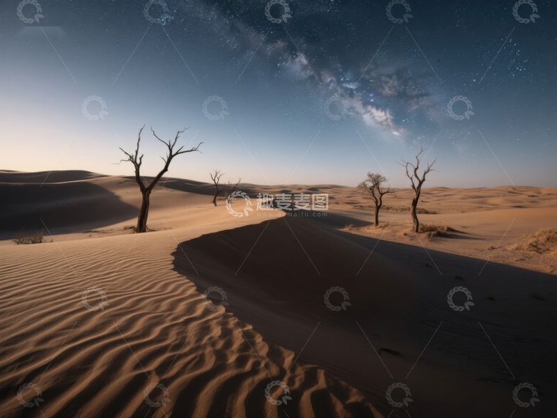高清大图下载【趣麦麦图】夜空下的沙漠与枯树